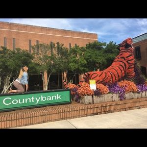 Meet your Posher, Jayne